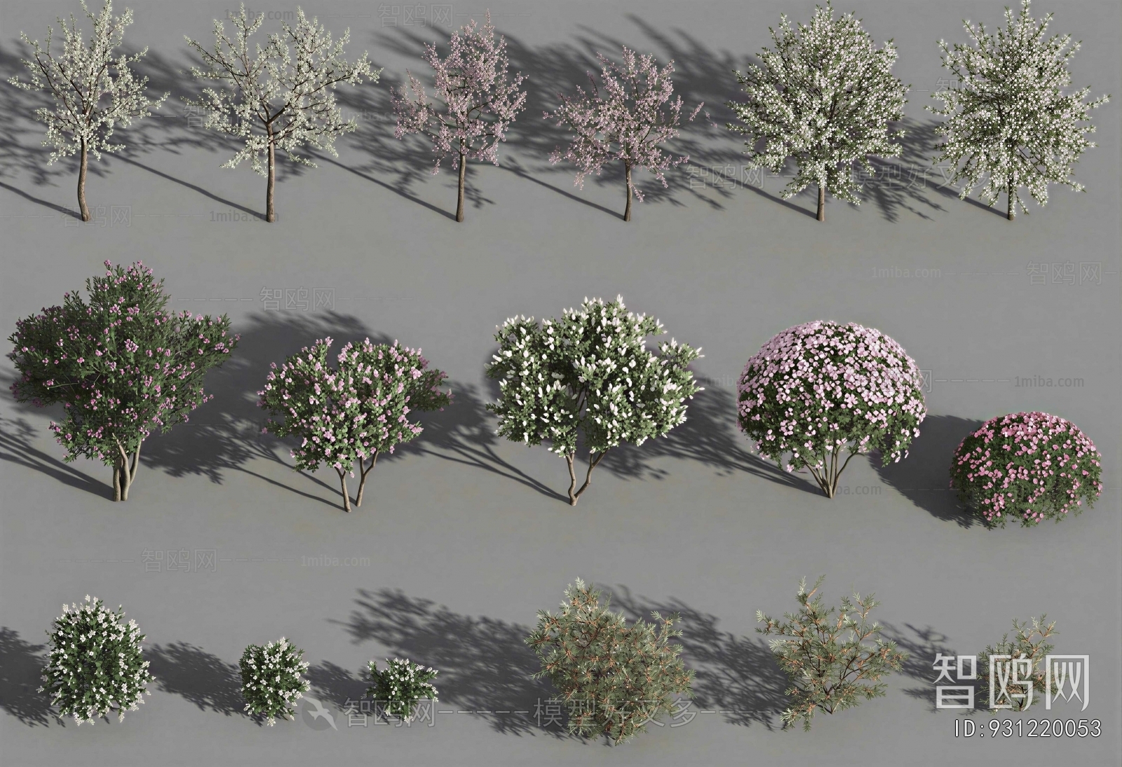 Modern Shrubbery