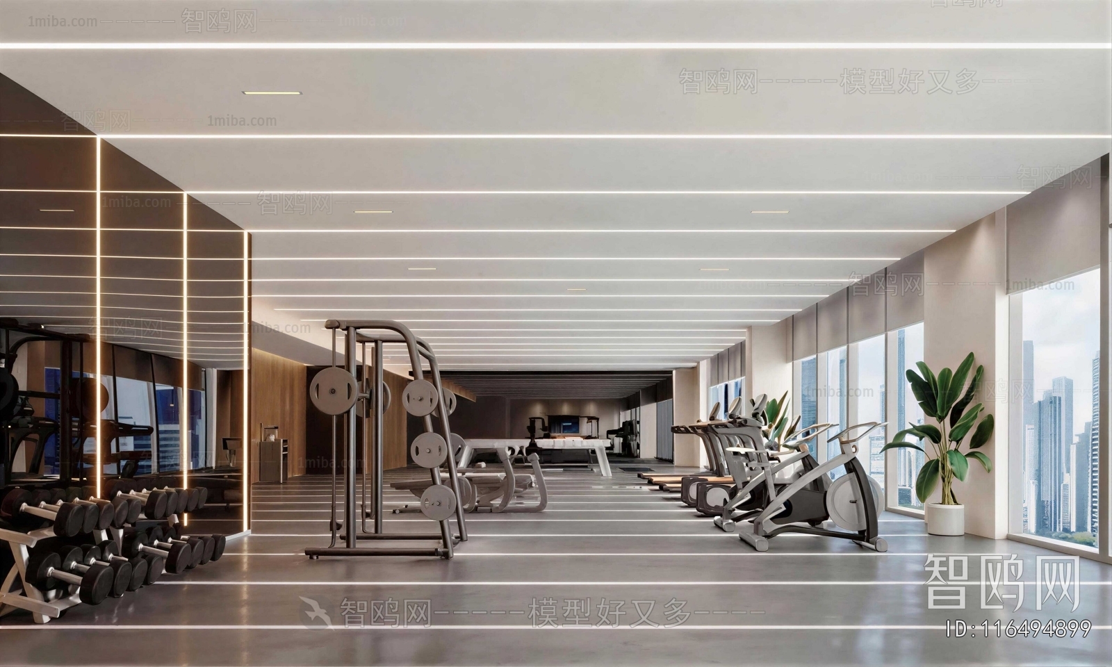 Modern Gym