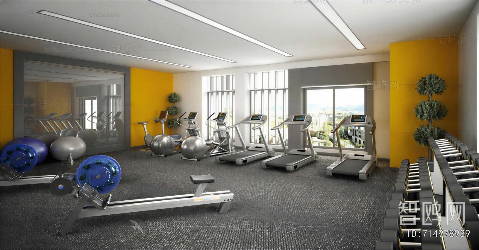 Modern Gym