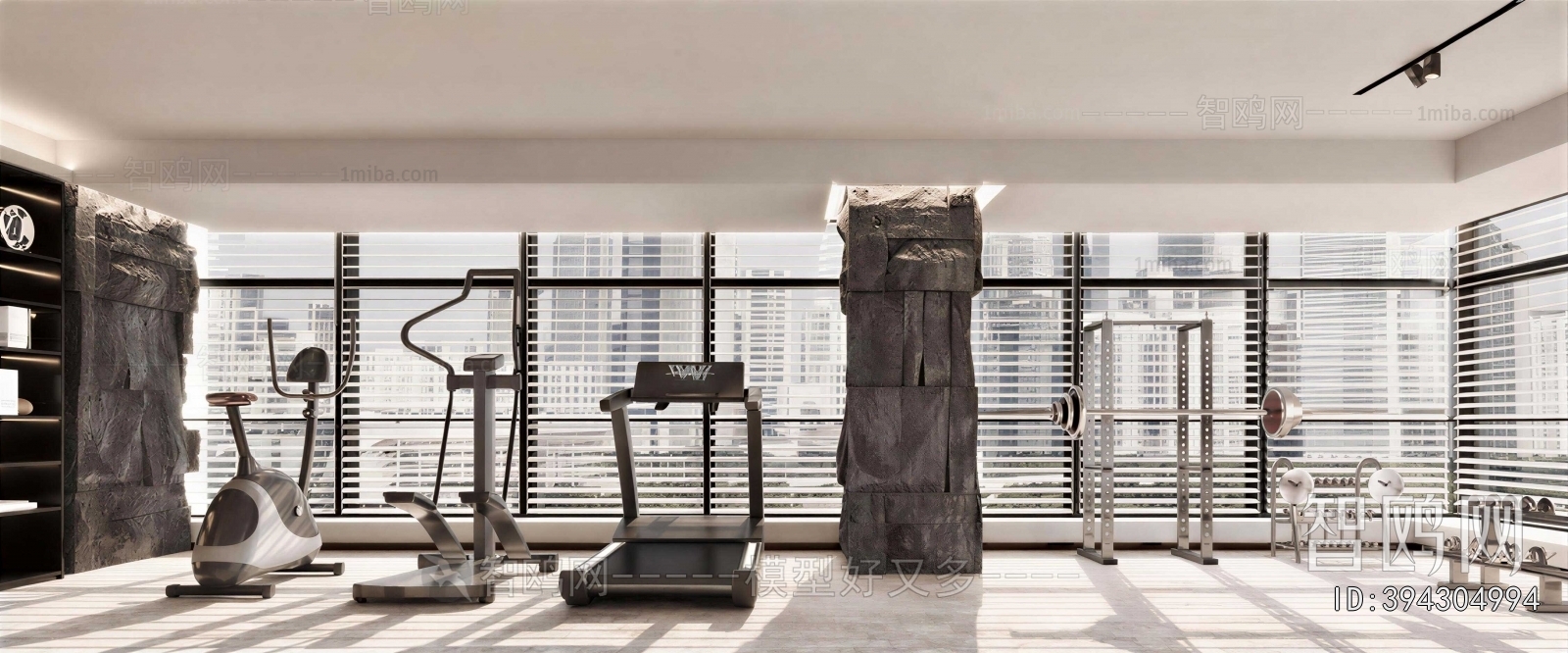 Modern Home Fitness Room