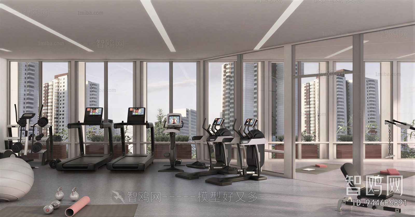 Modern Gym