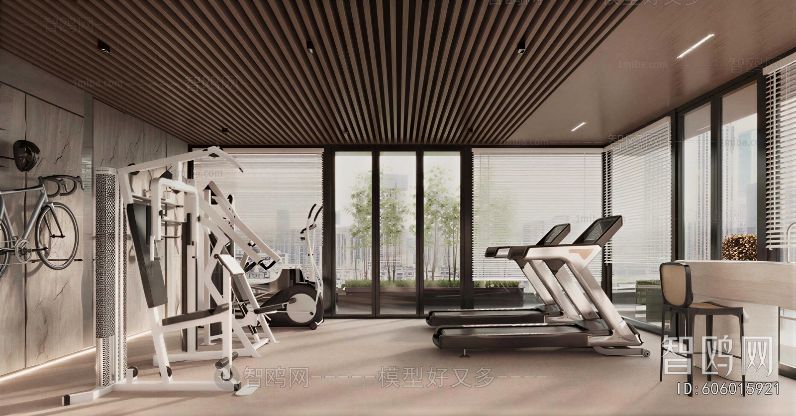 Modern Gym
