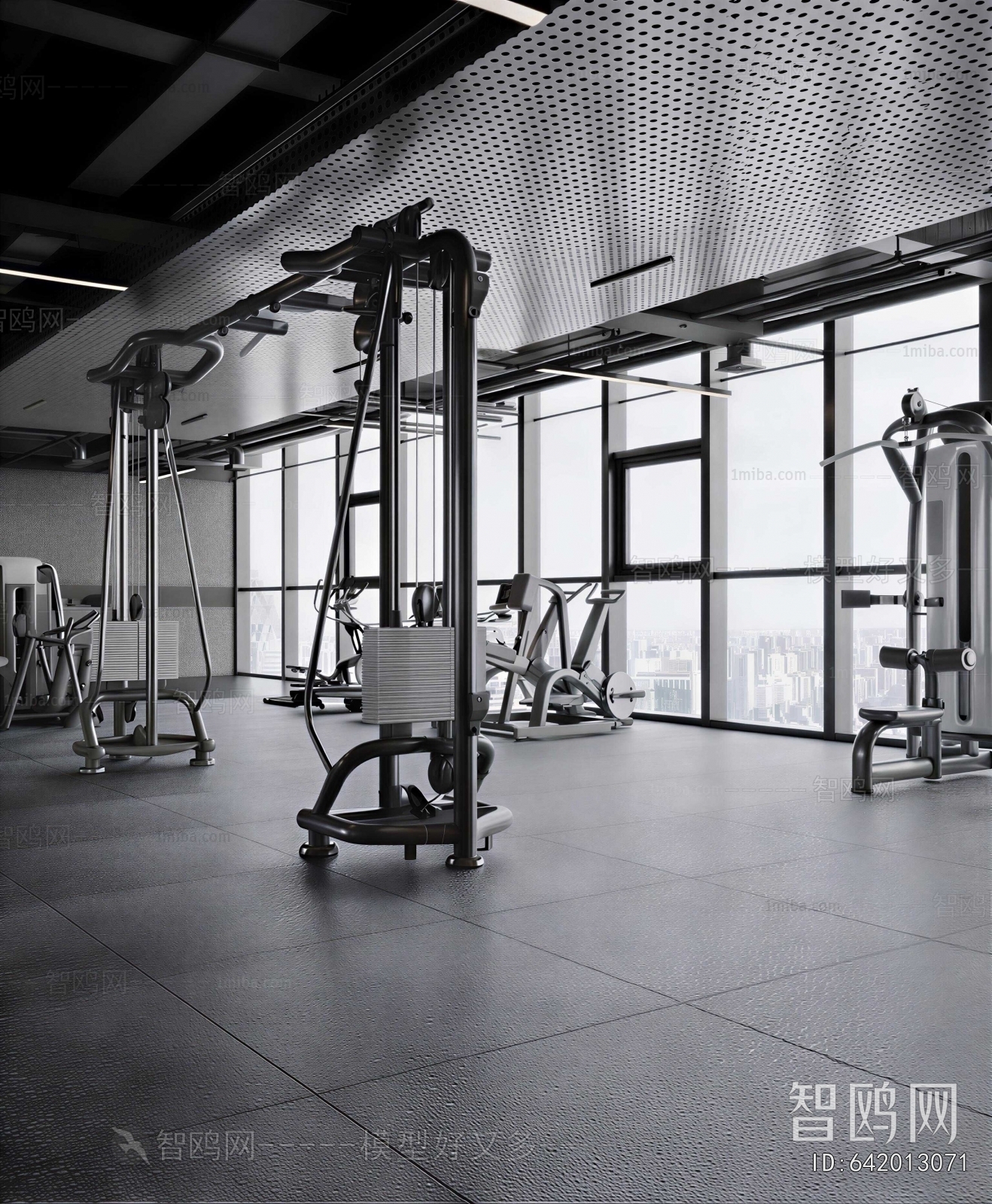 Modern Gym