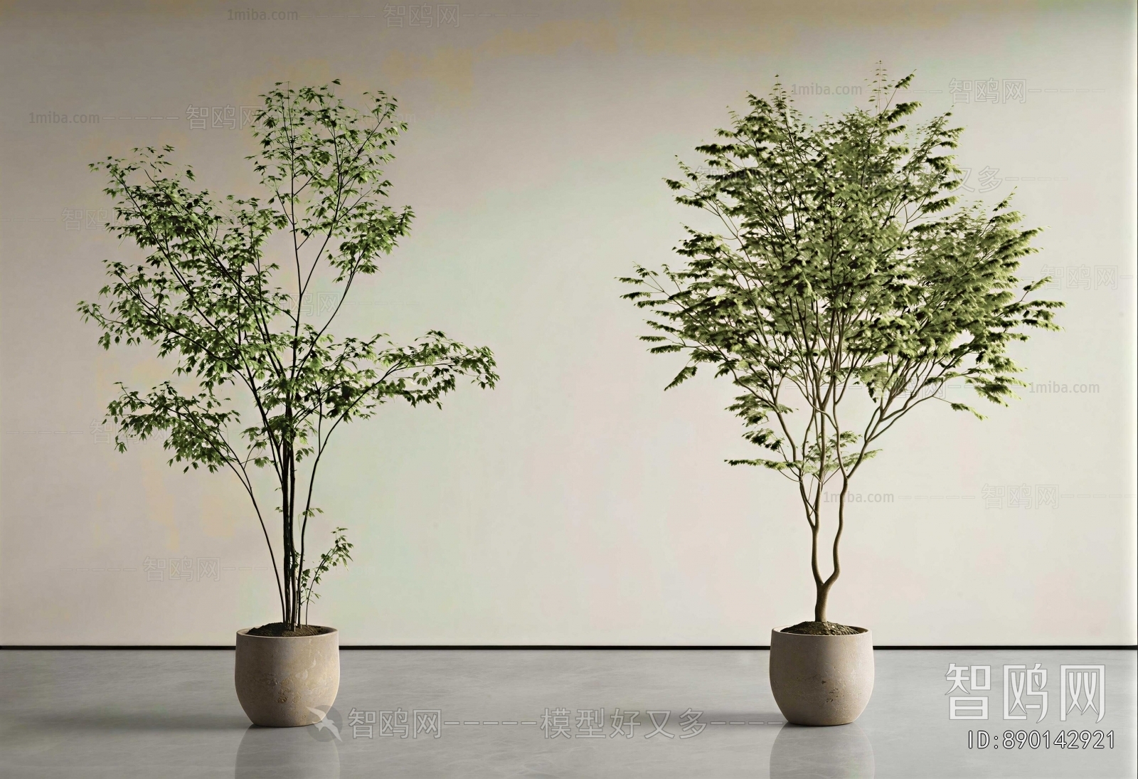 Modern Ground Green Plant Potted Plants