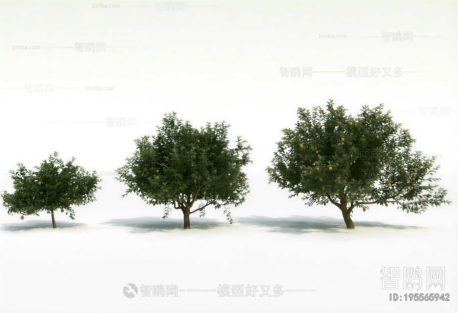 Modern Tree