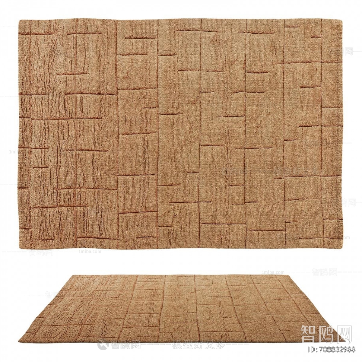 Modern The Carpet