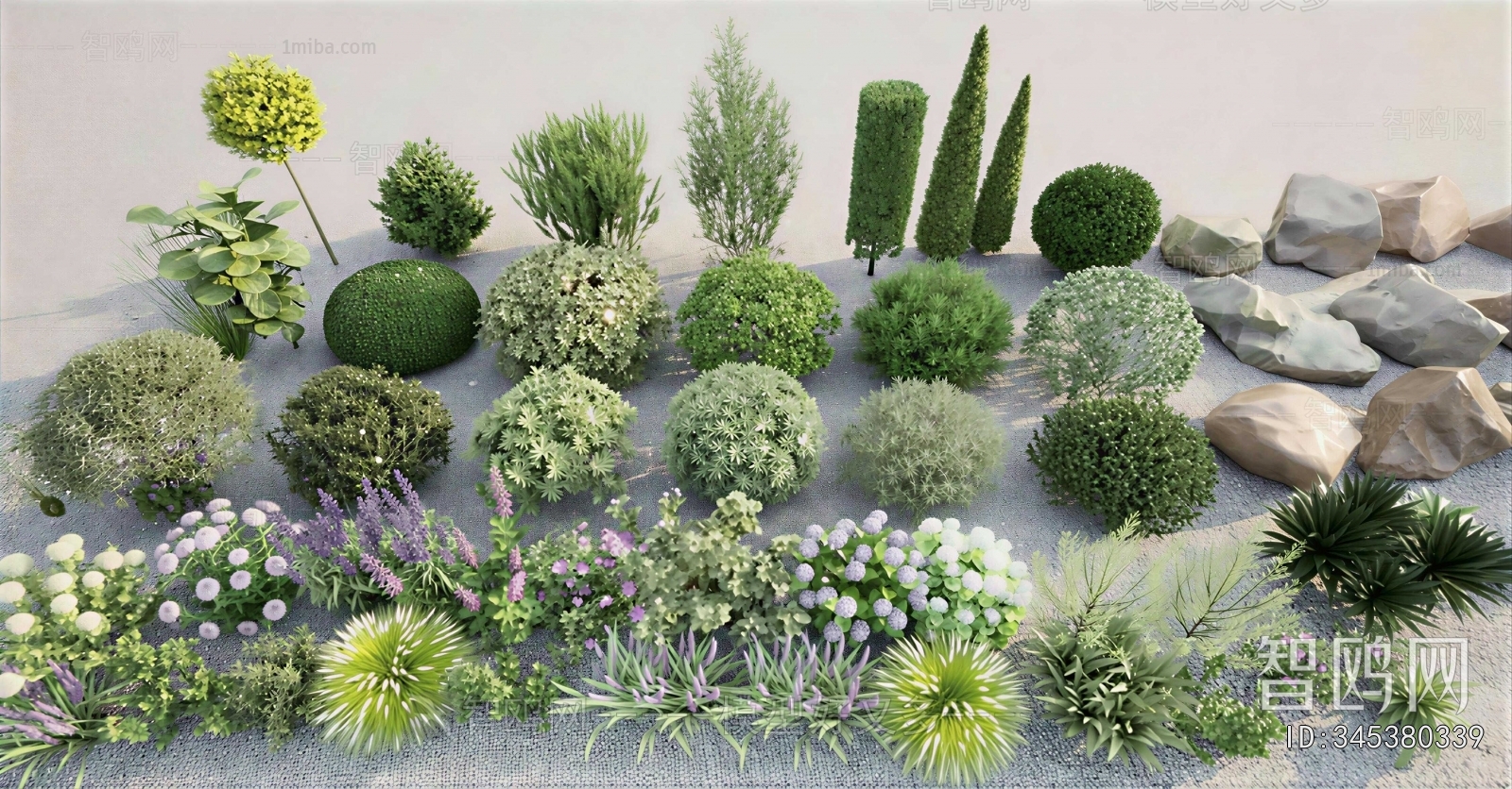 Modern Shrubbery