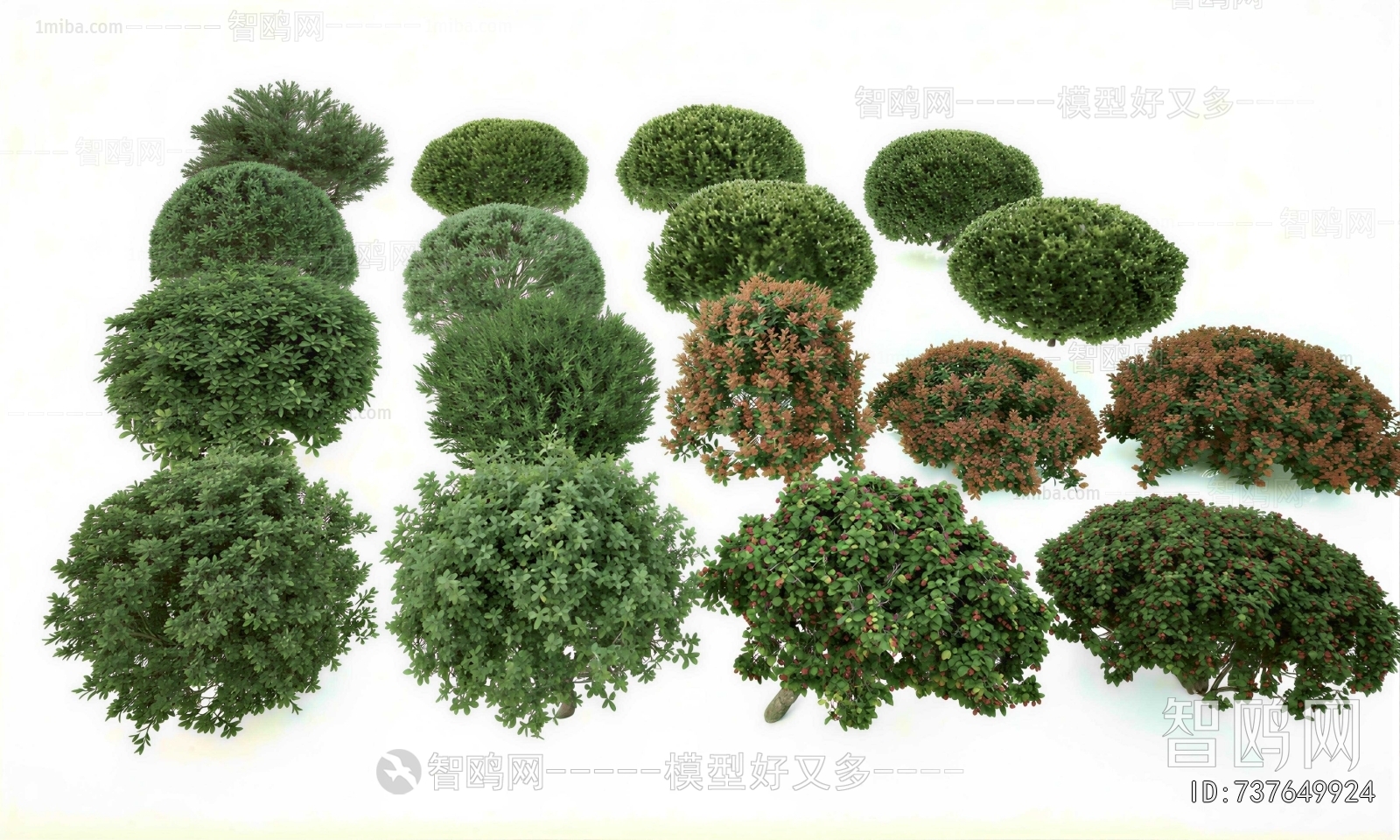 Modern Shrubbery