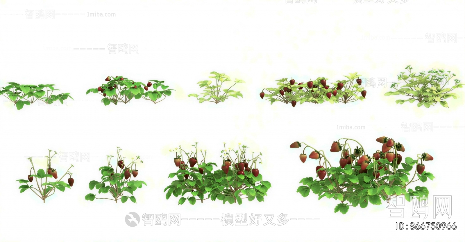 Modern Crop