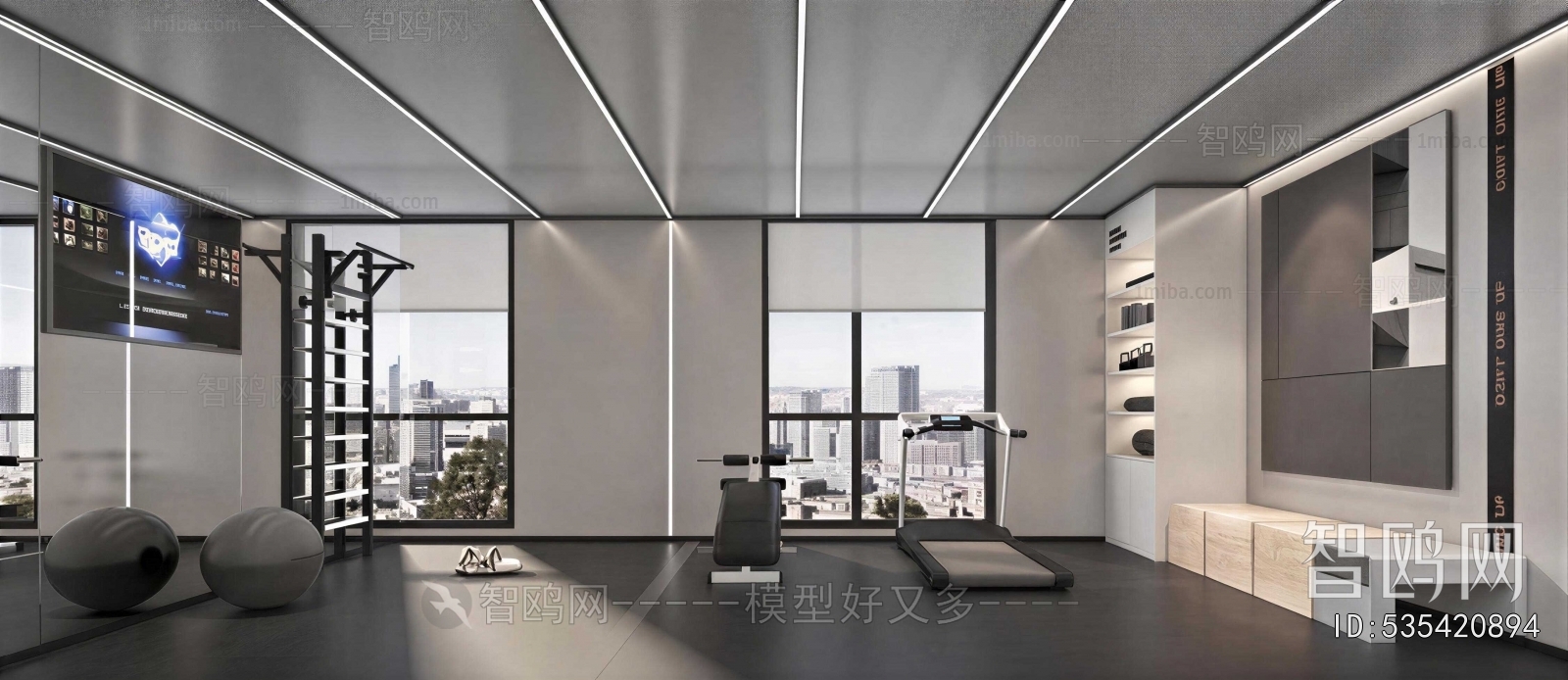 Modern Home Fitness Room