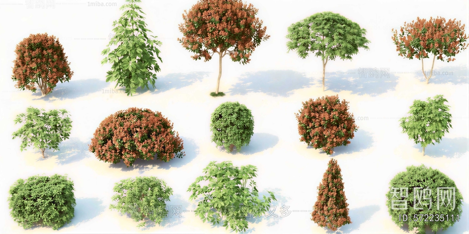 Modern Shrubbery