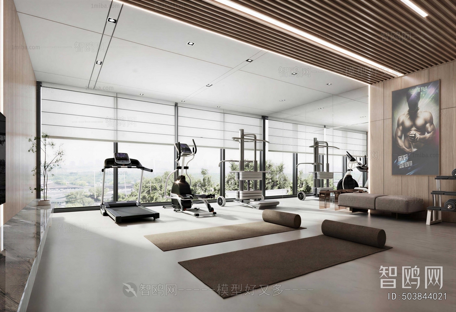 Modern Gym