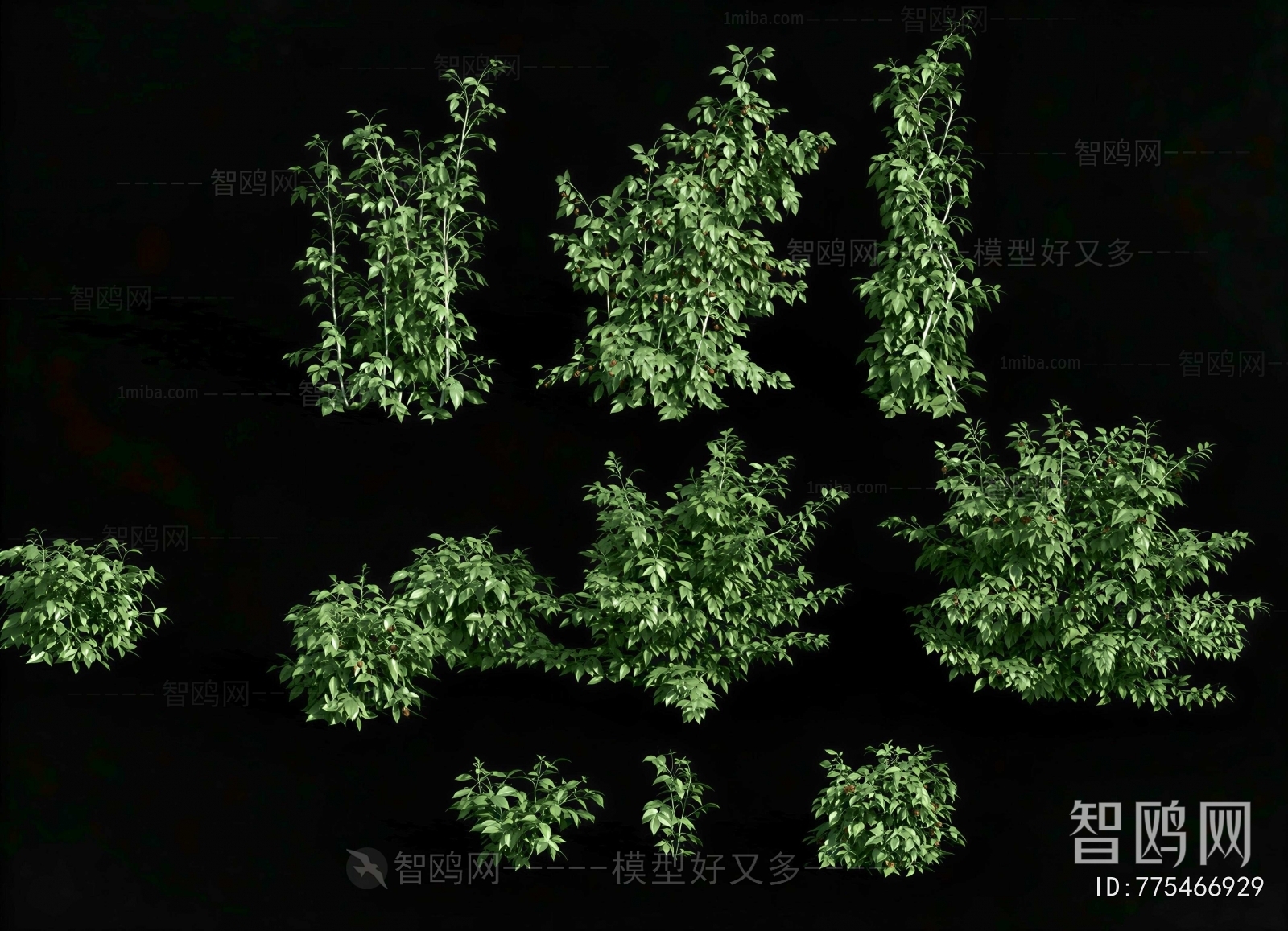 Modern Shrubbery