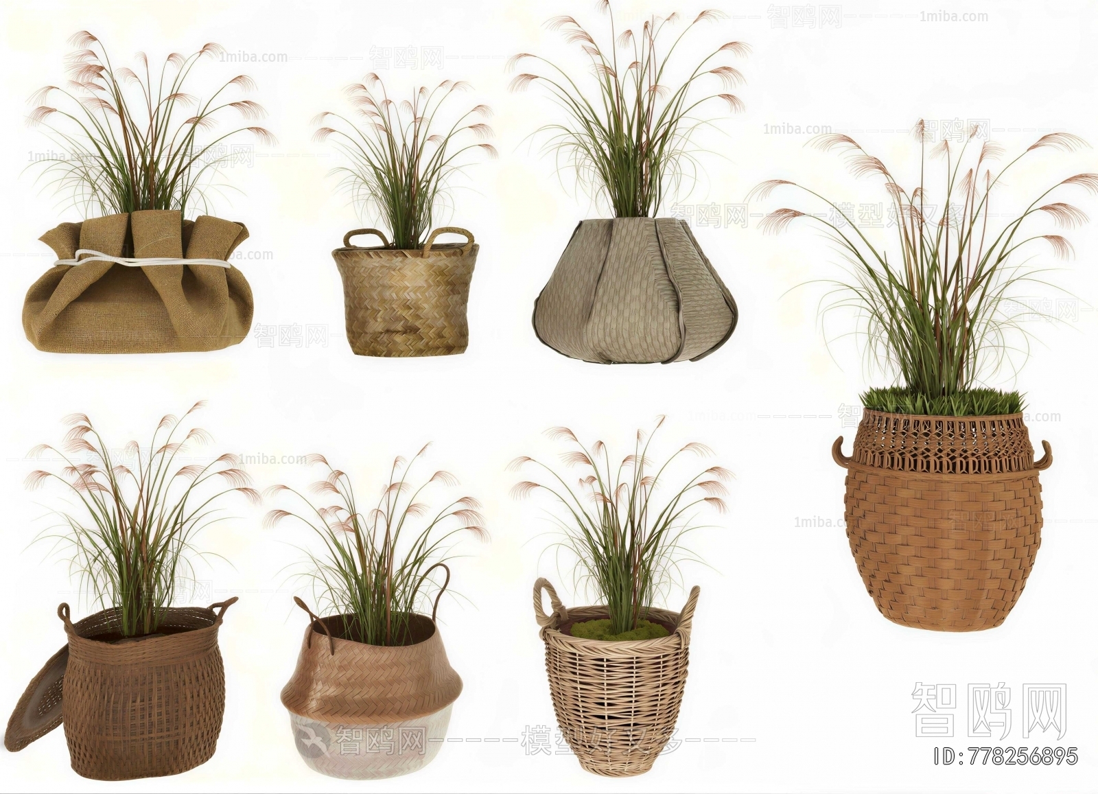 Wabi-sabi Style Potted Green Plant