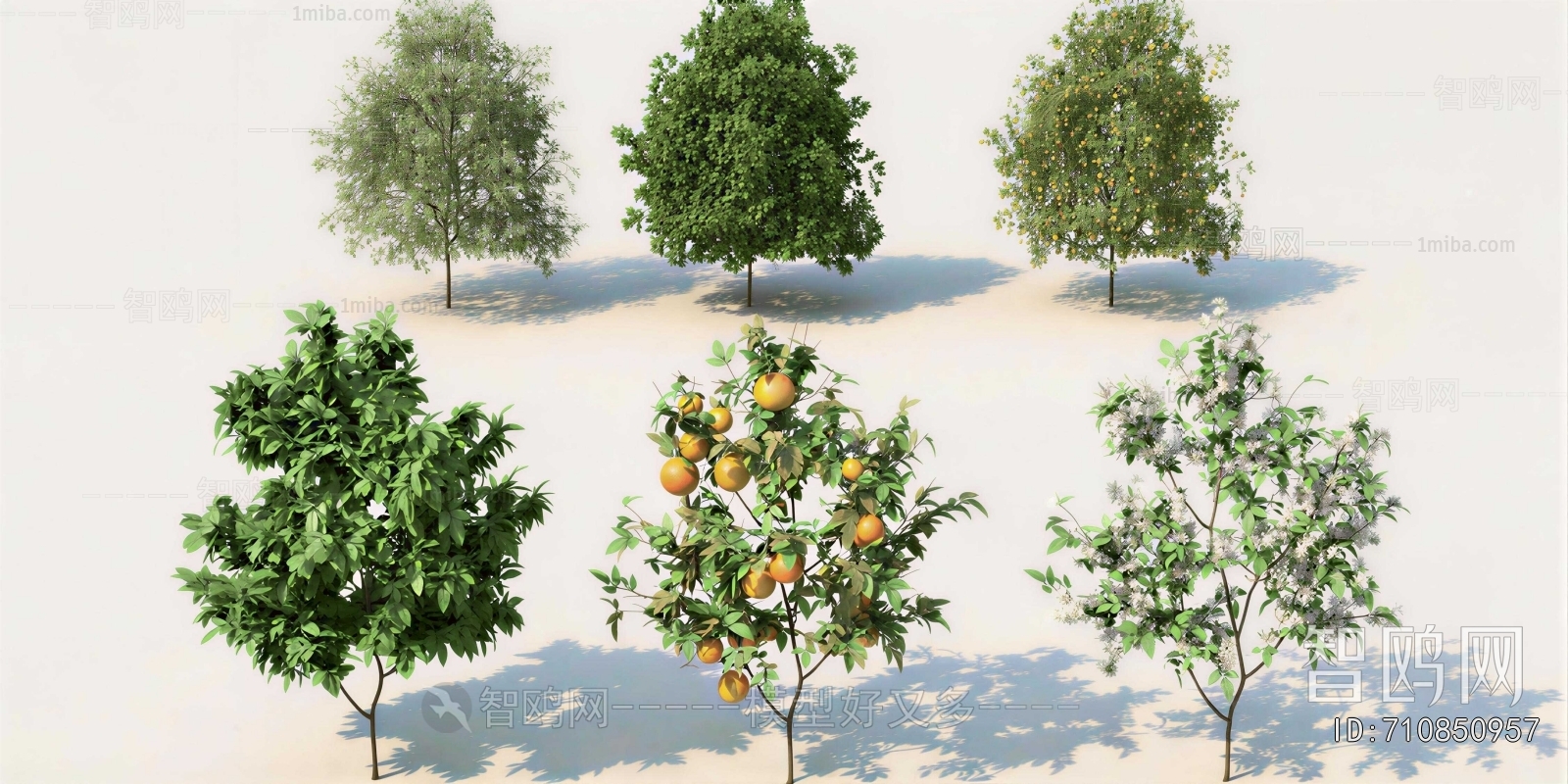 Modern Tree