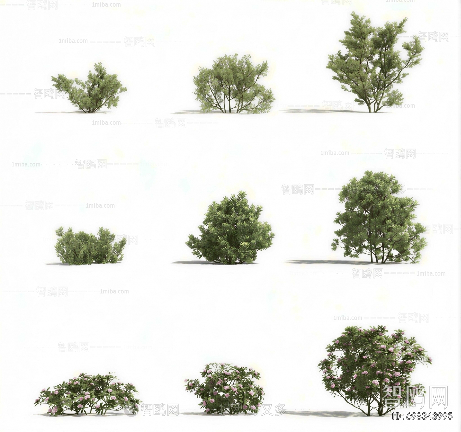 Modern Shrubbery