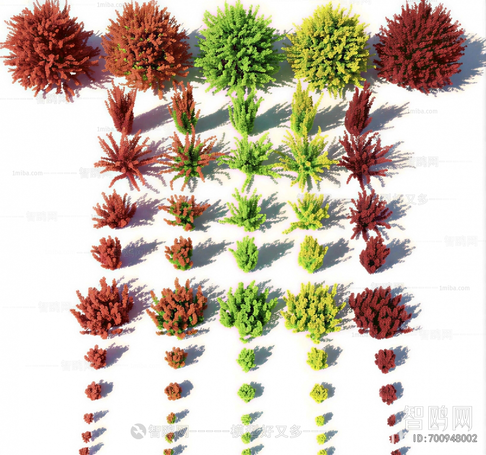 Modern Shrubbery