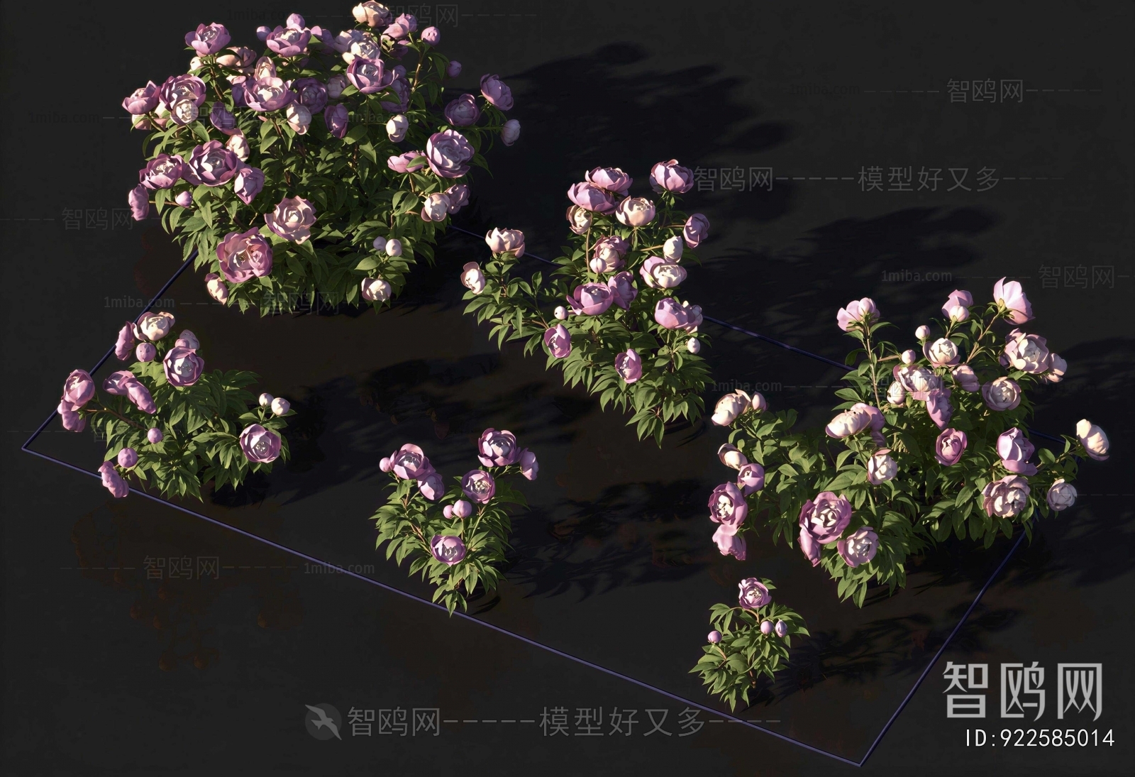Modern Shrubbery