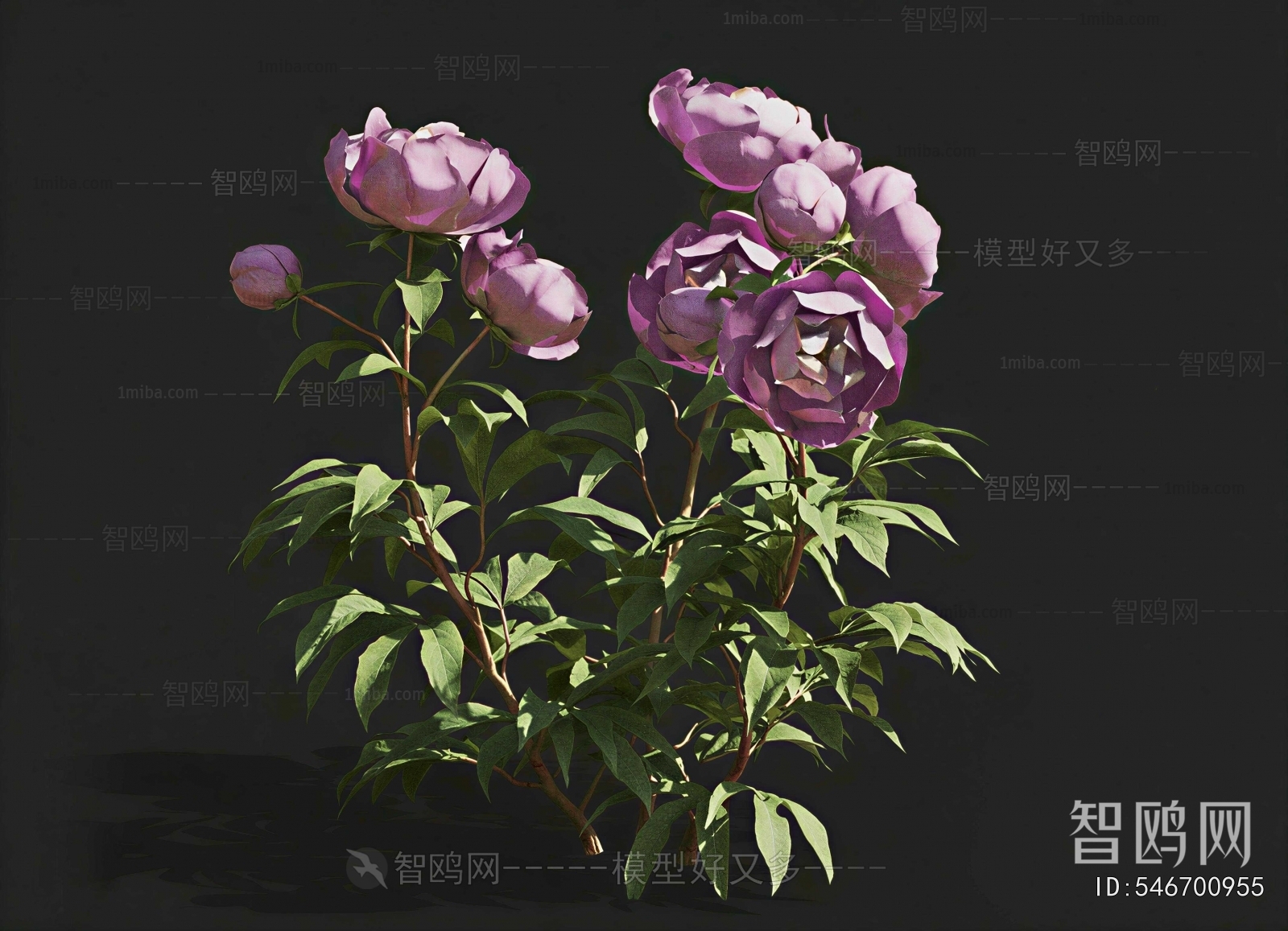 Modern Flowers And Grass