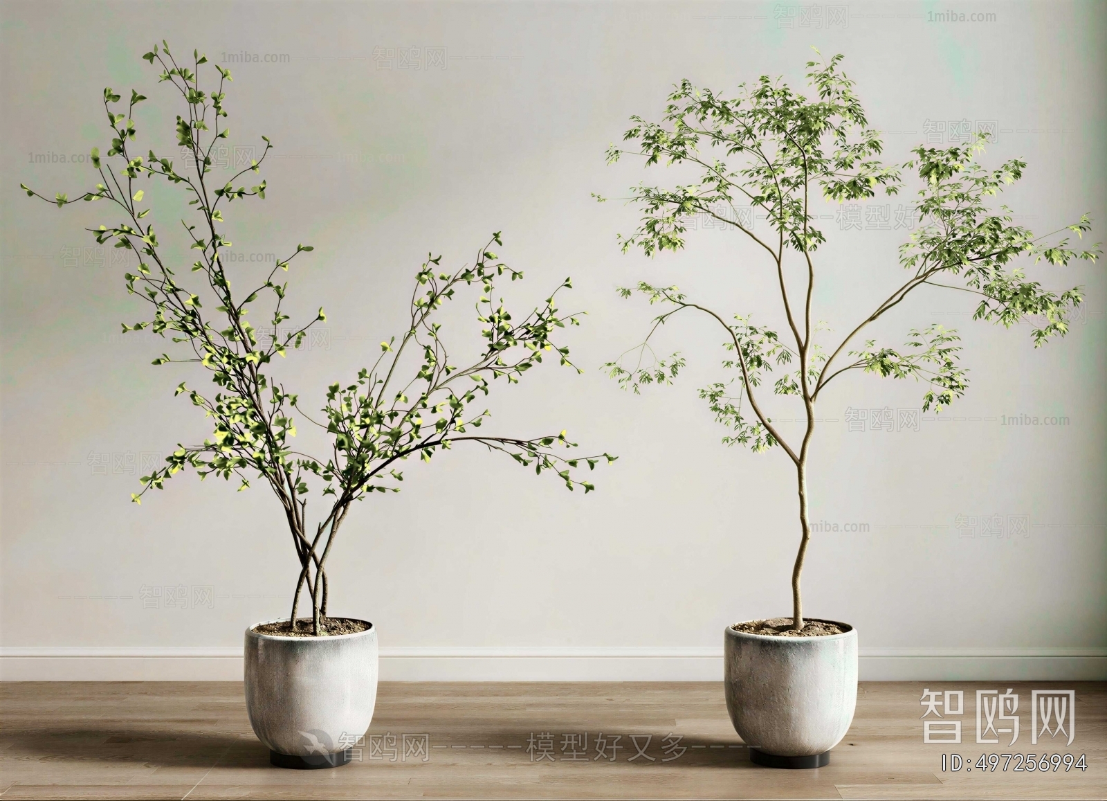 Modern Ground Green Plant Potted Plants