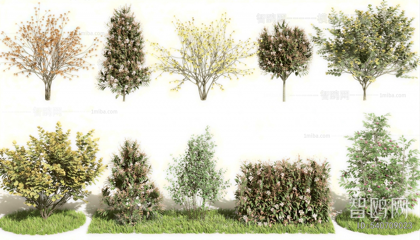 Modern Shrubbery
