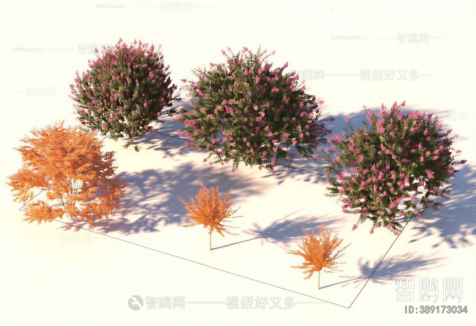 Modern Shrubbery