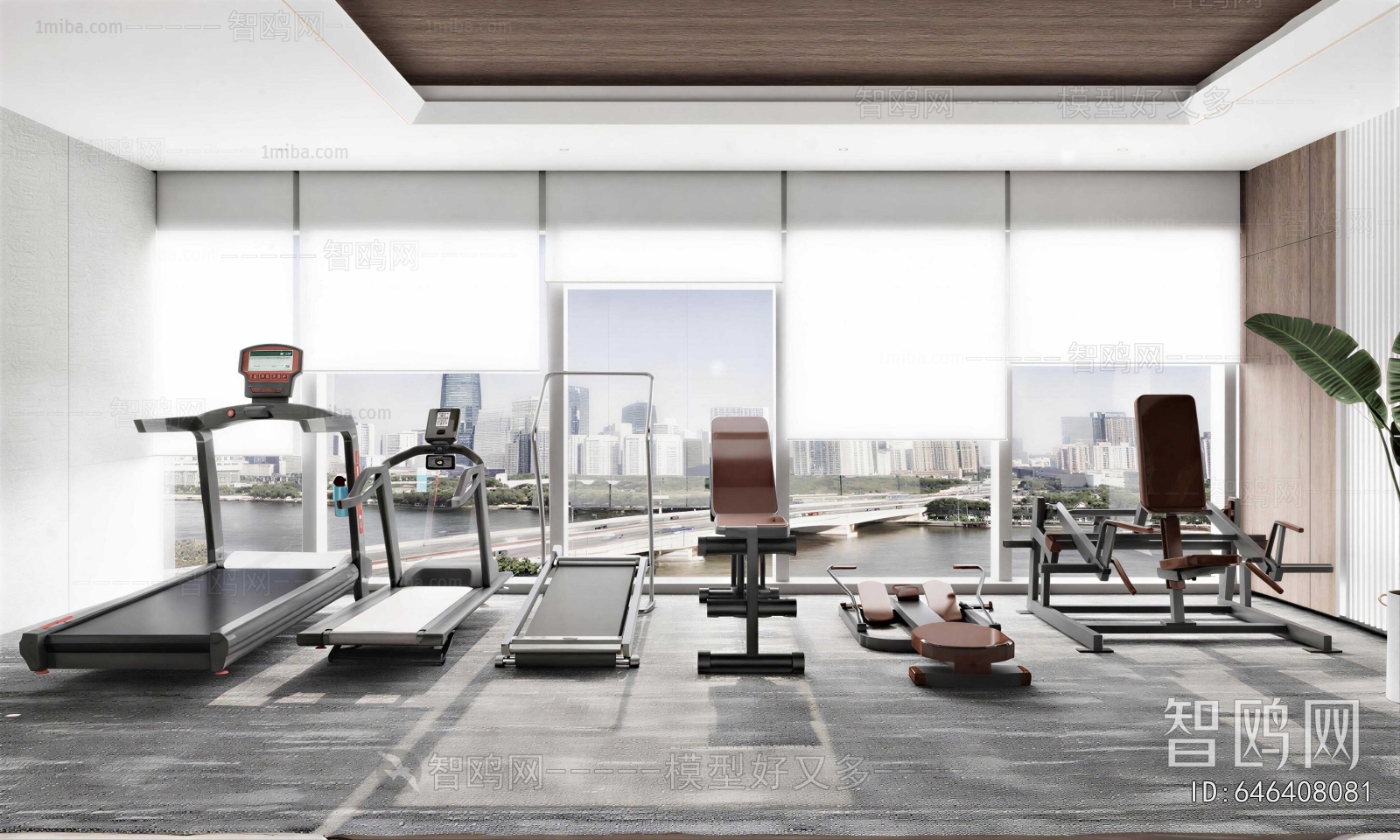 Modern Gym