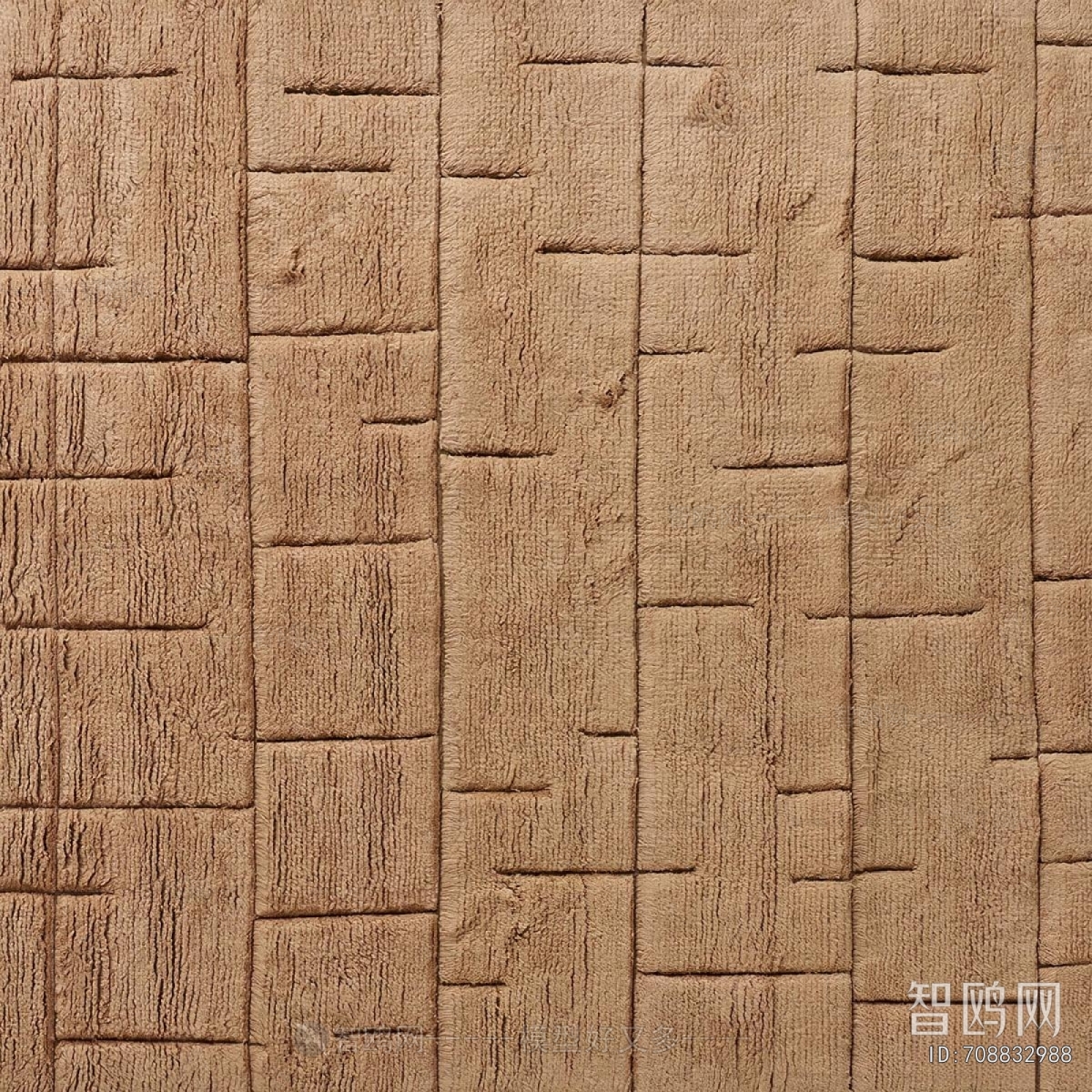 Modern The Carpet