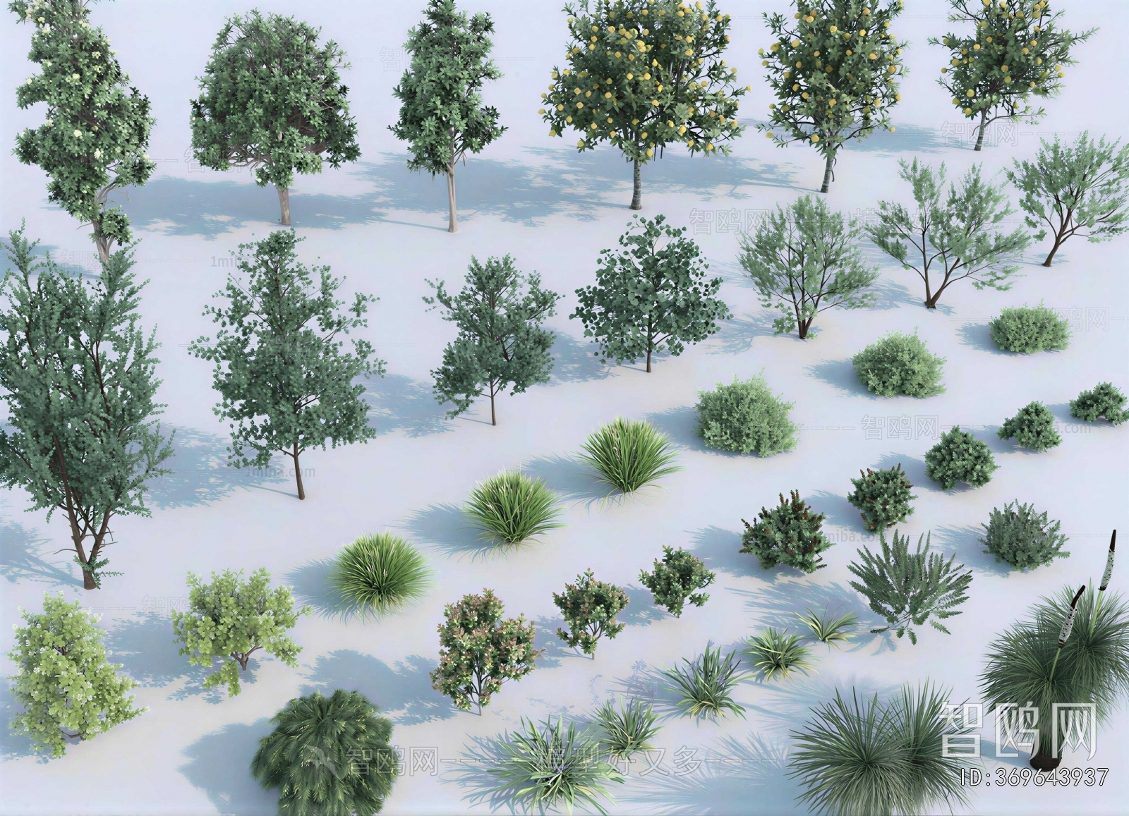 Modern Tree/shrub/grass