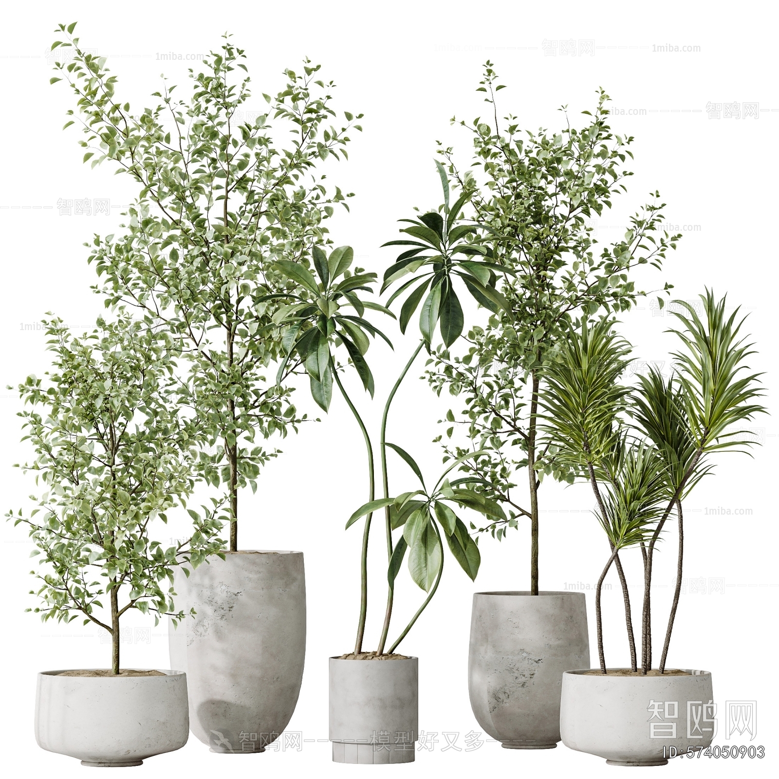 Modern Ground Green Plant Potted Plants