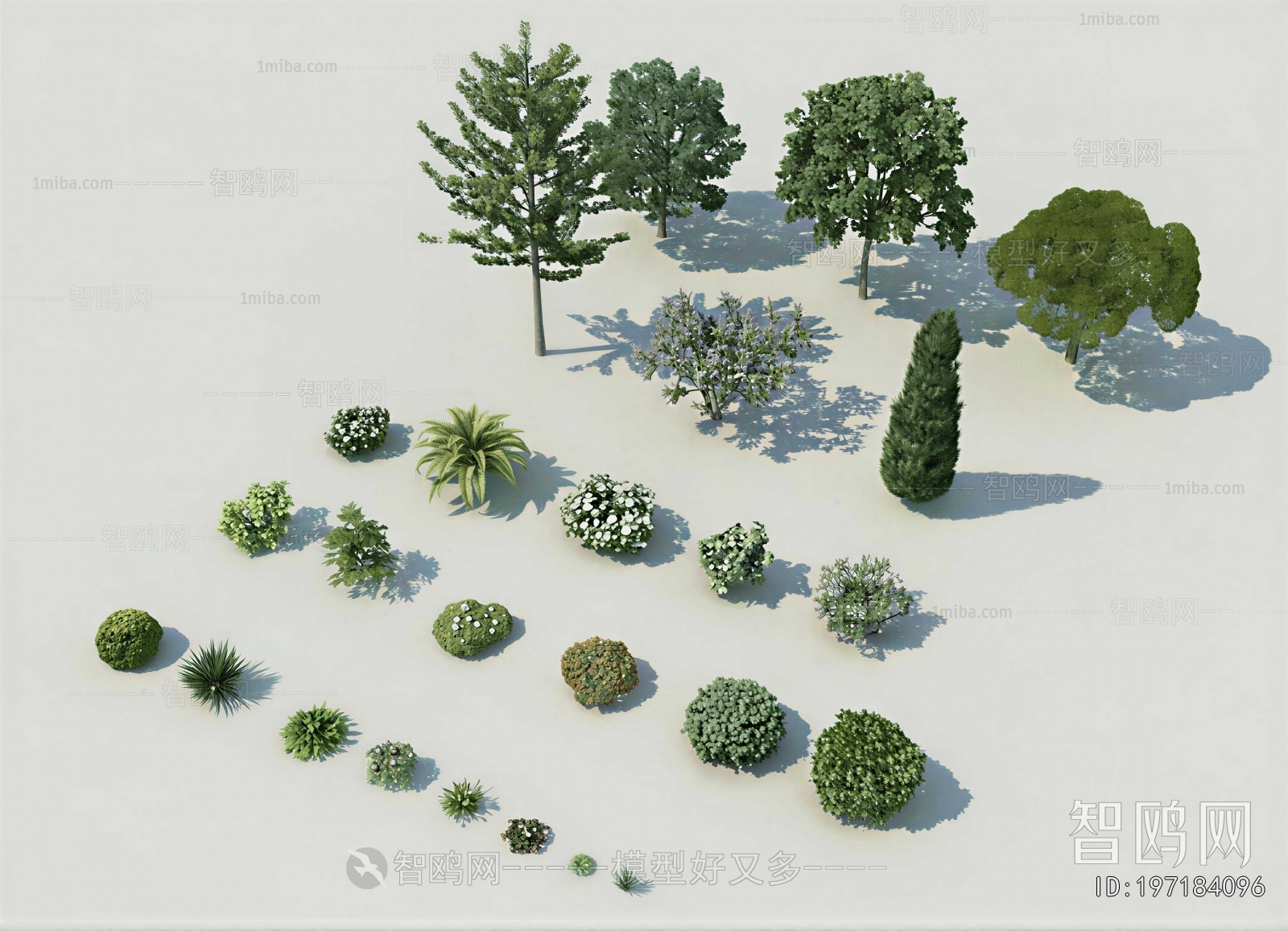 Modern Shrubbery