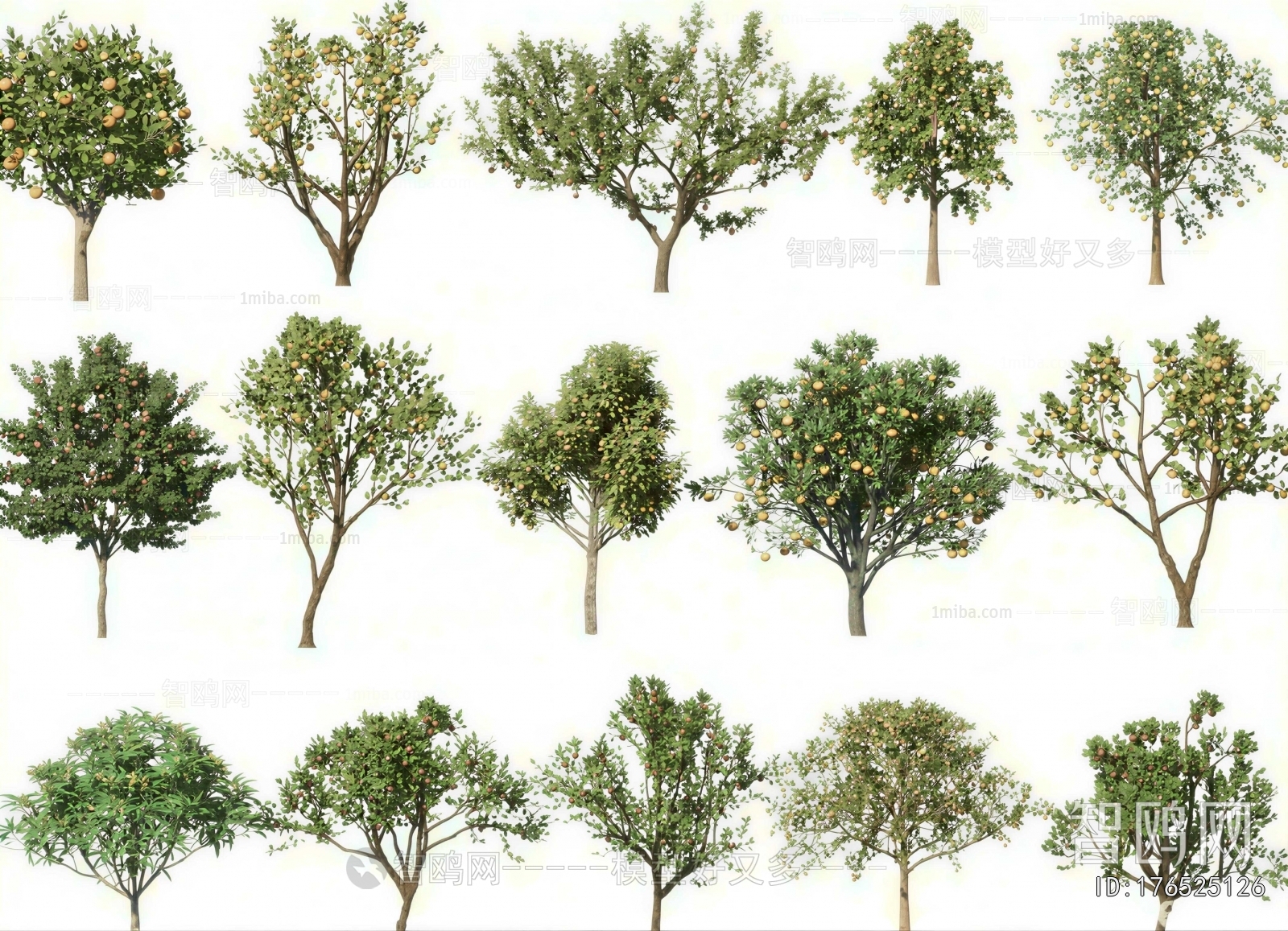 Modern Tree