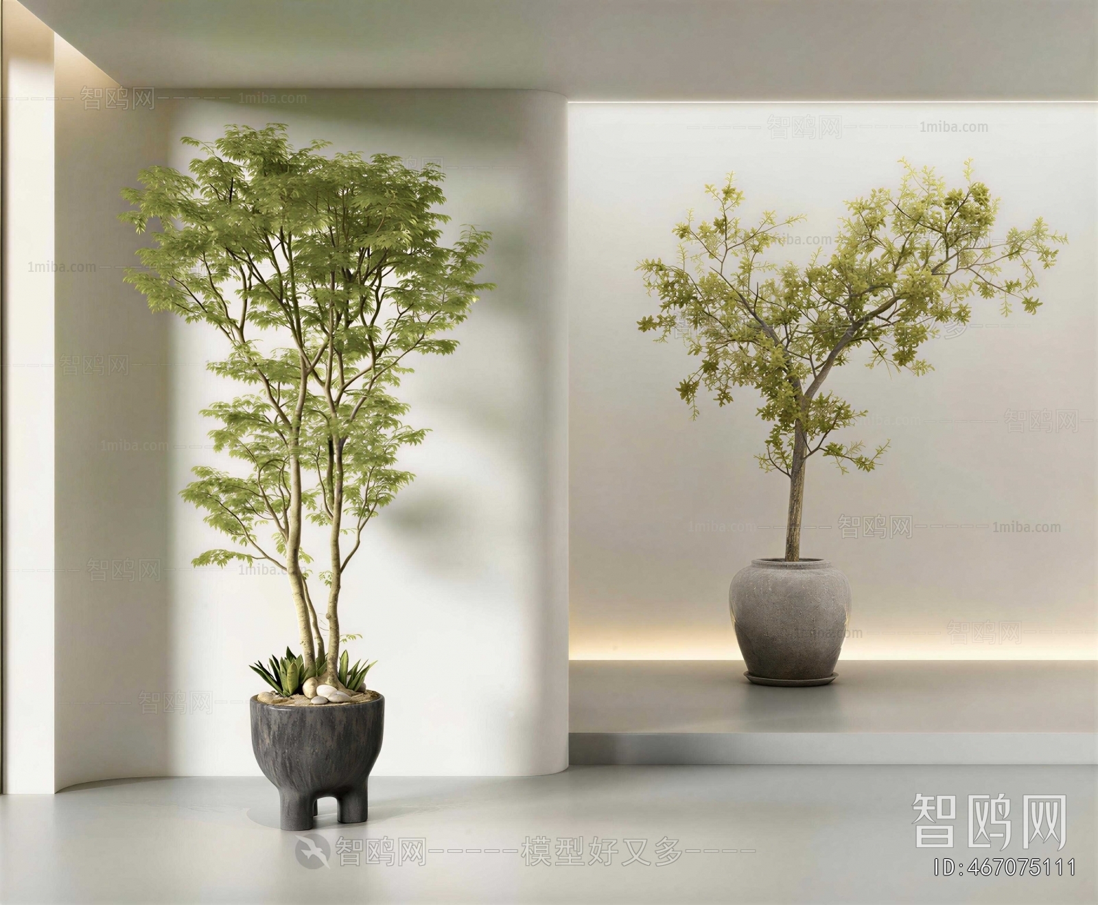 Wabi-sabi Style Ground Green Plant Potted Plants
