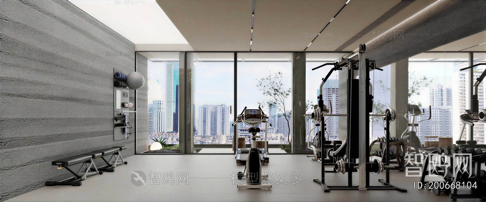 Modern Gym