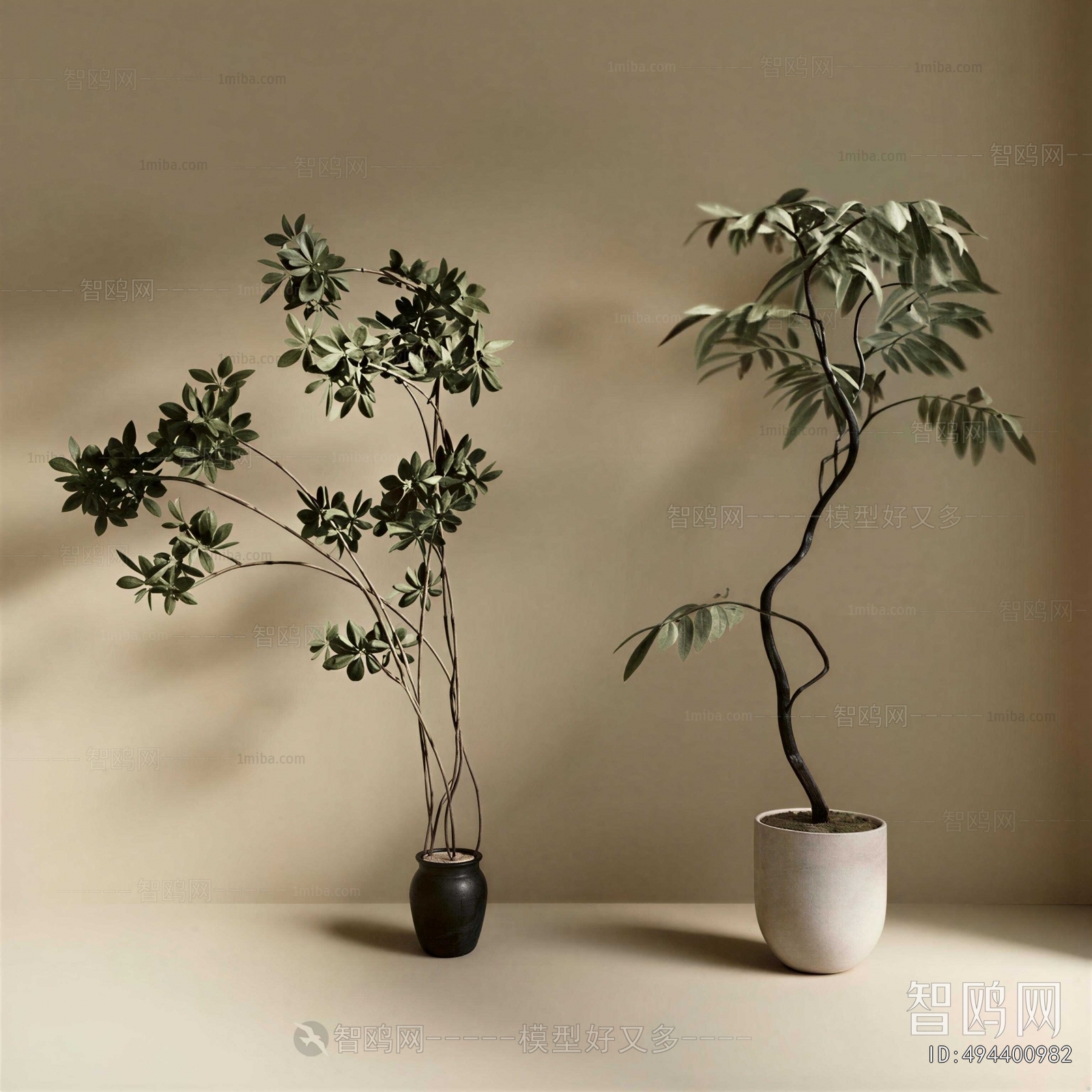 Modern Ground Green Plant Potted Plants