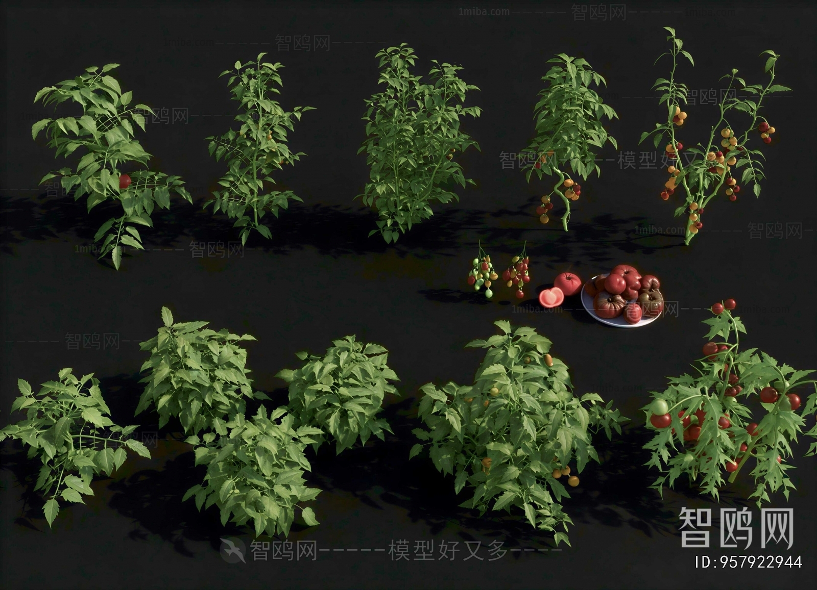 Modern Crop