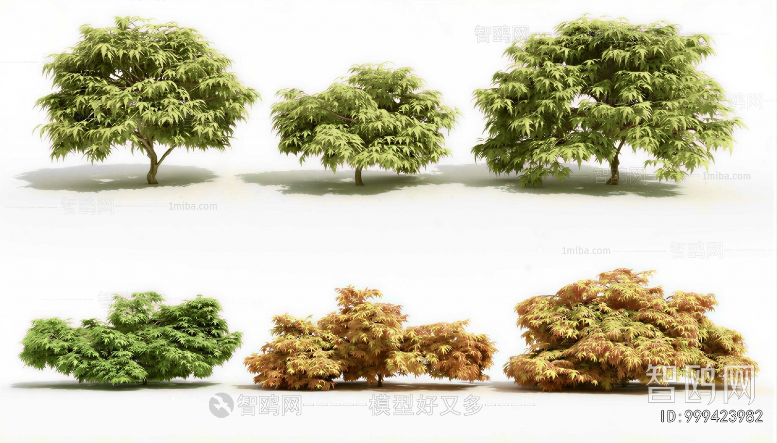 Modern Shrubbery