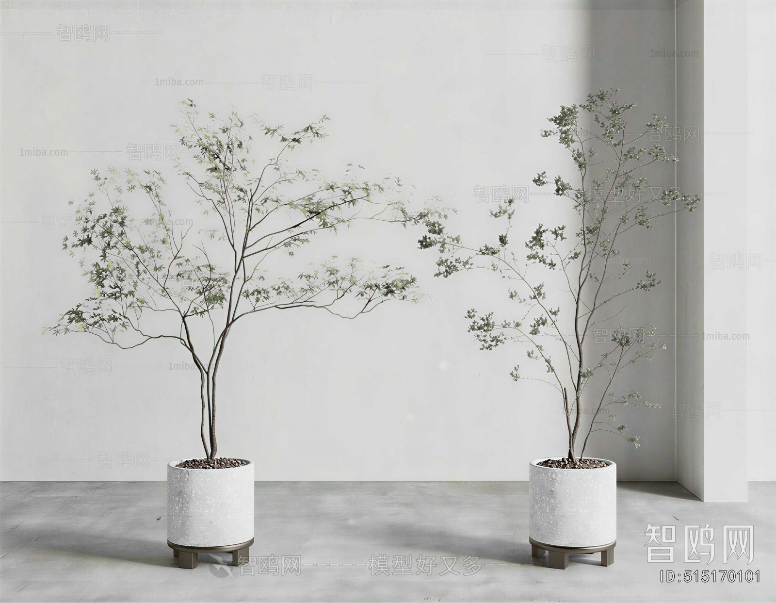 Modern Ground Green Plant Potted Plants