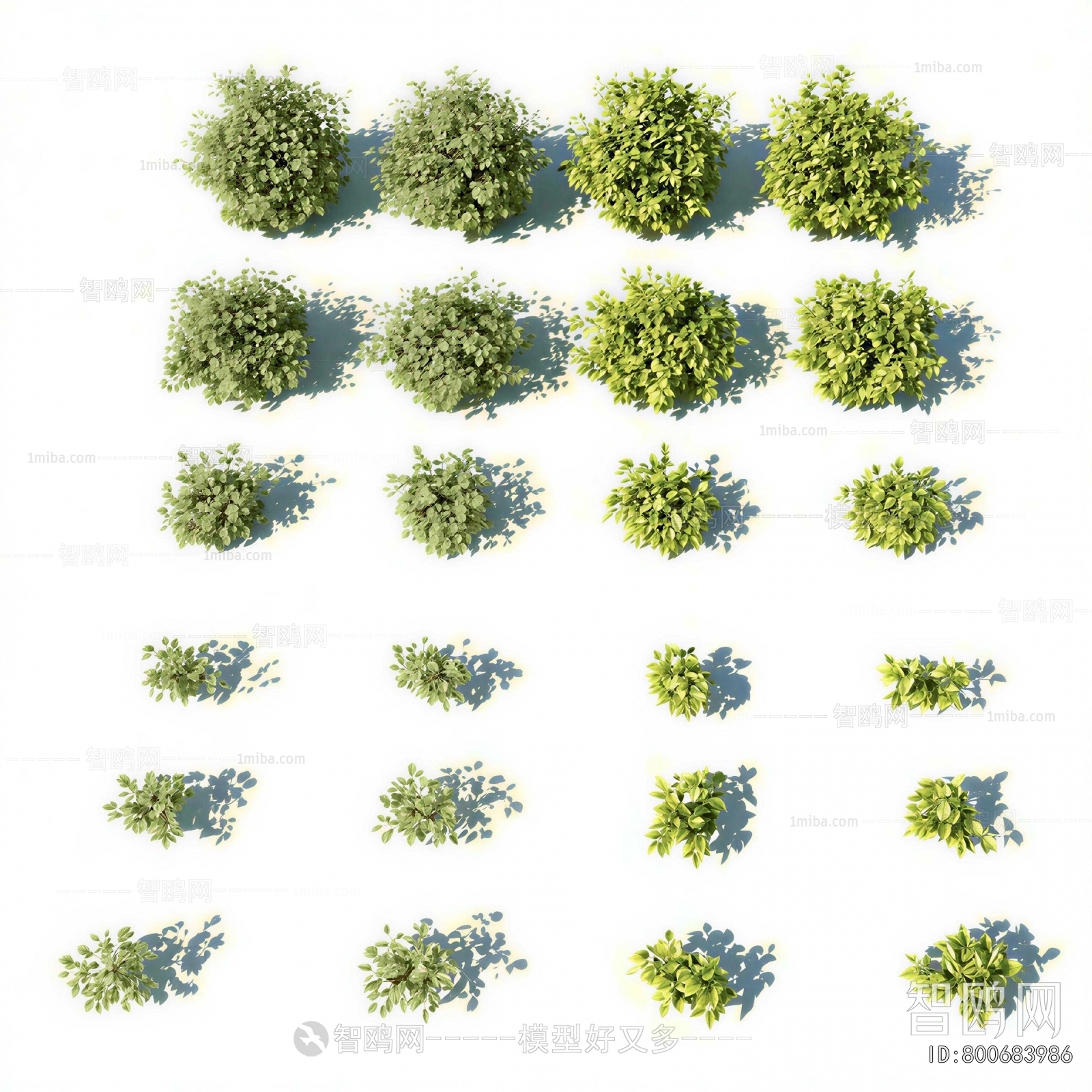 Modern Shrubbery