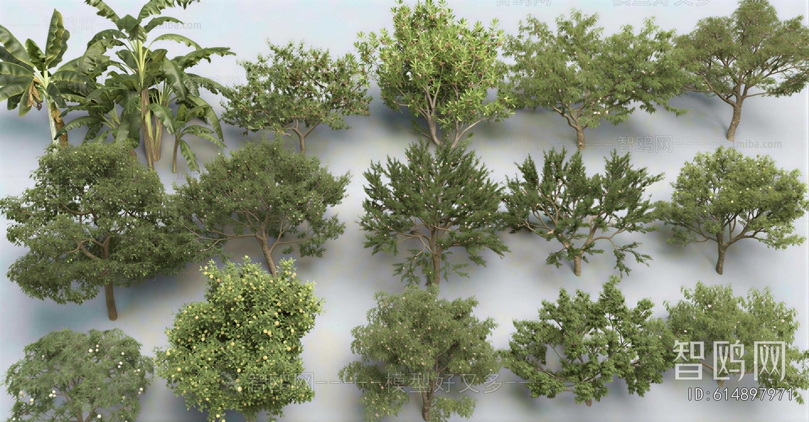 Modern Shrubbery