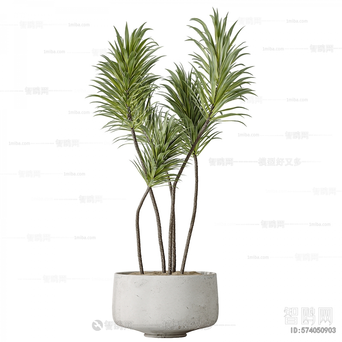 Modern Ground Green Plant Potted Plants