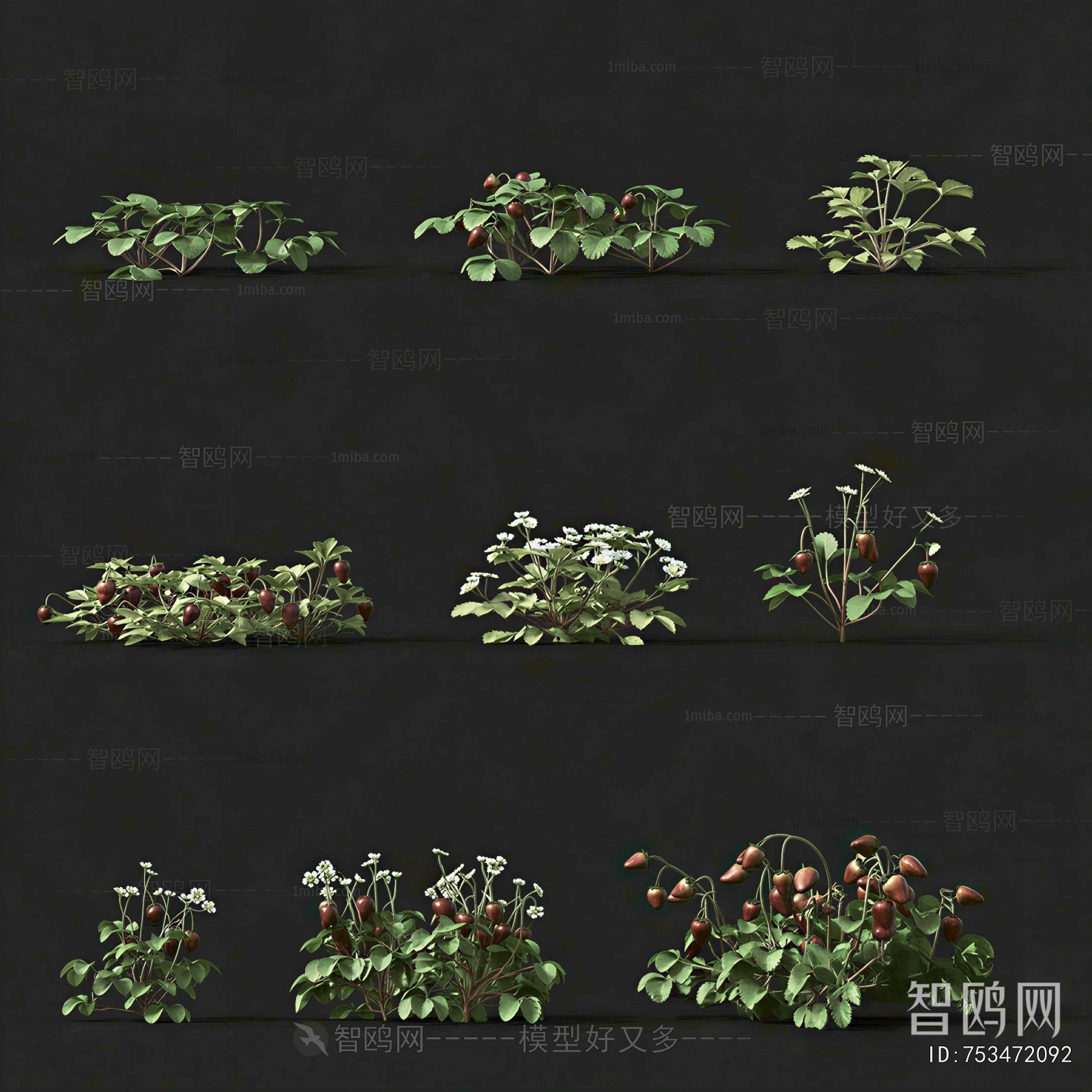 Modern Crop