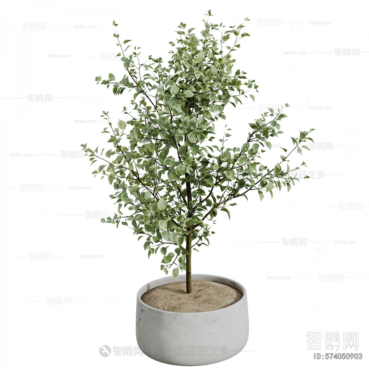 Modern Ground Green Plant Potted Plants