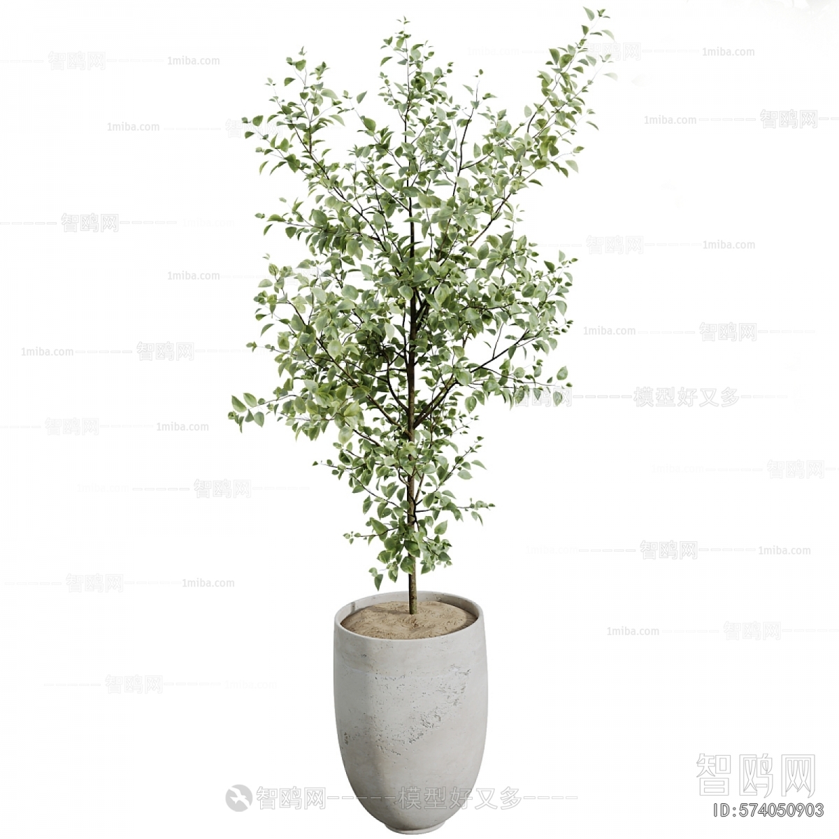 Modern Ground Green Plant Potted Plants