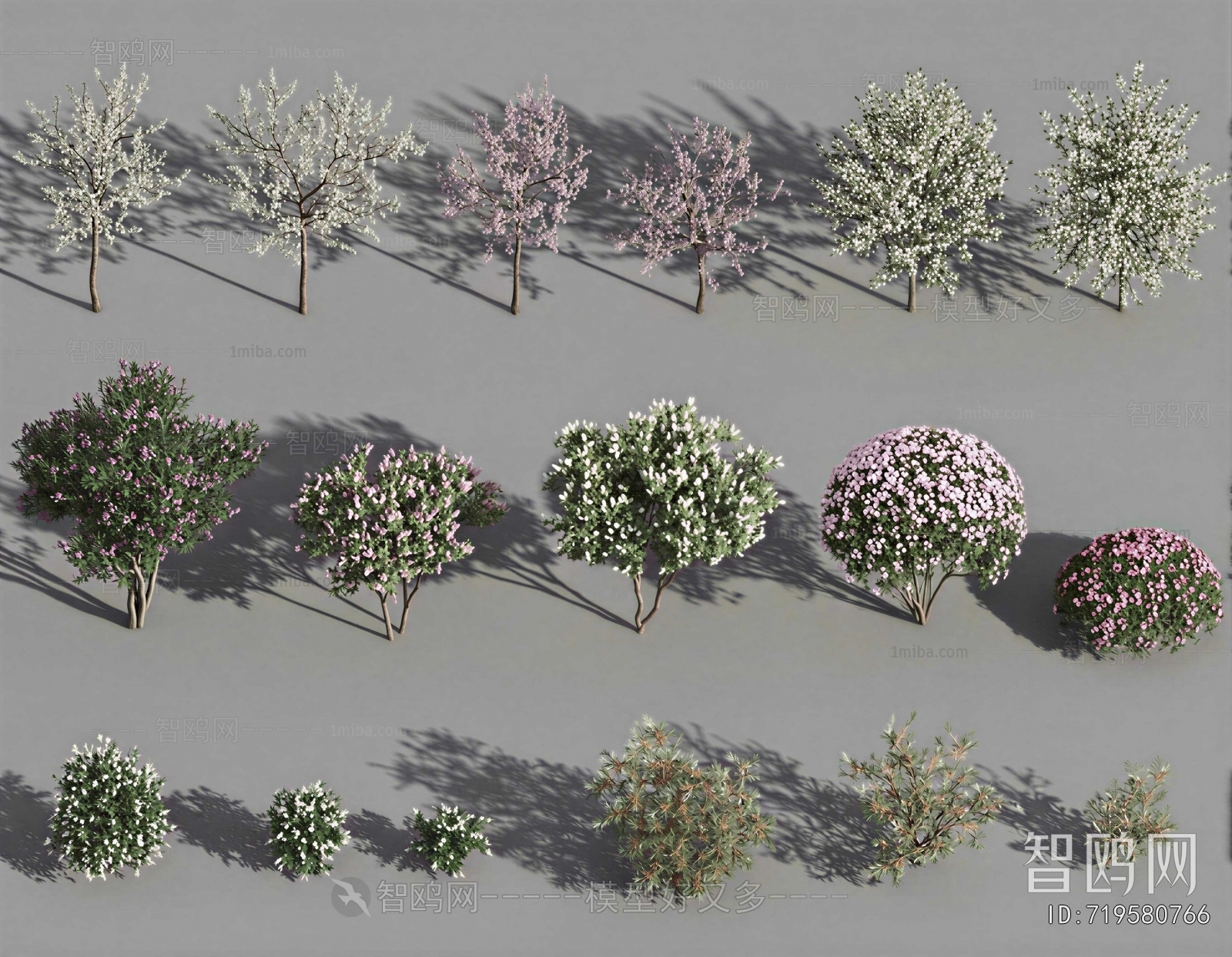 Modern Shrubbery