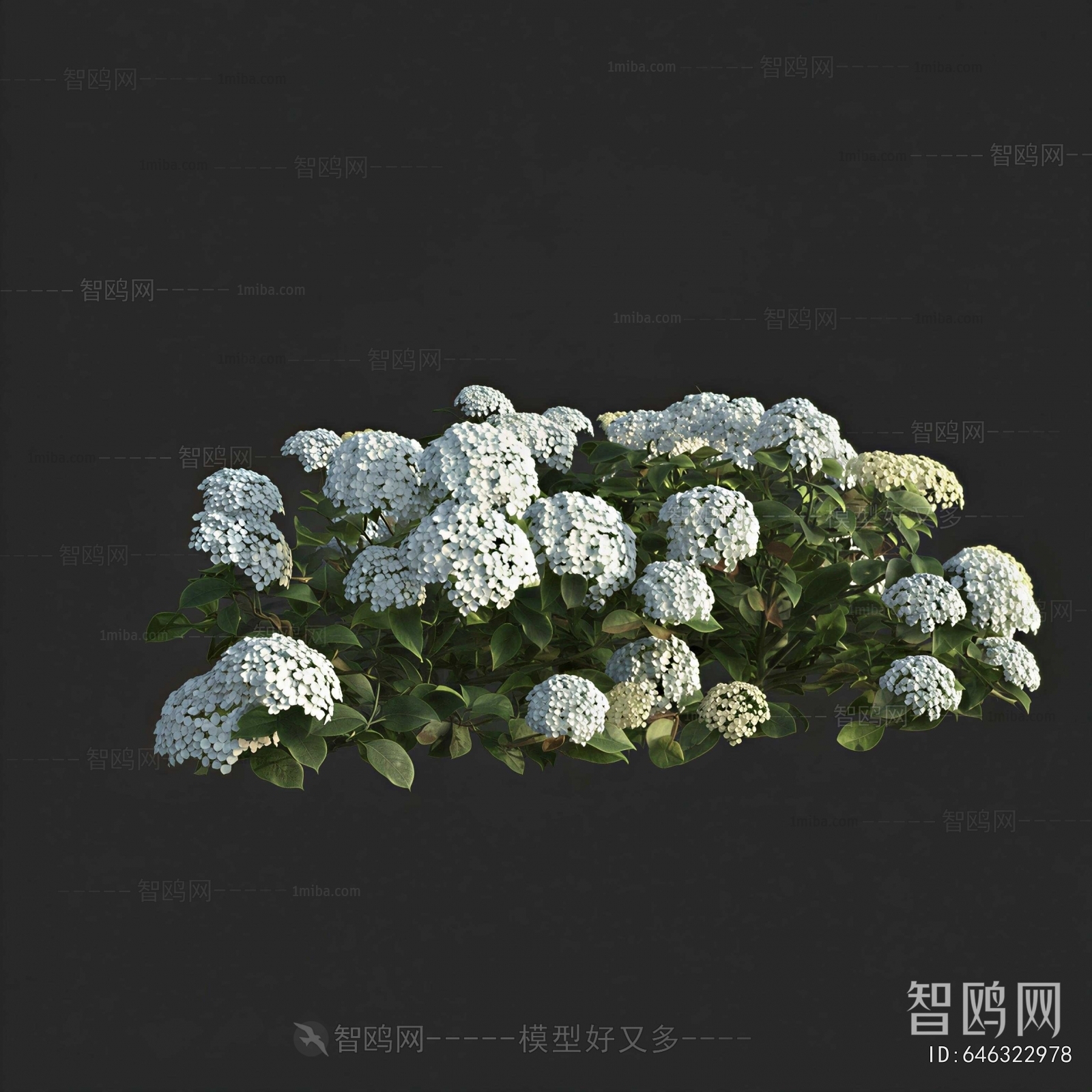 Modern Shrubbery