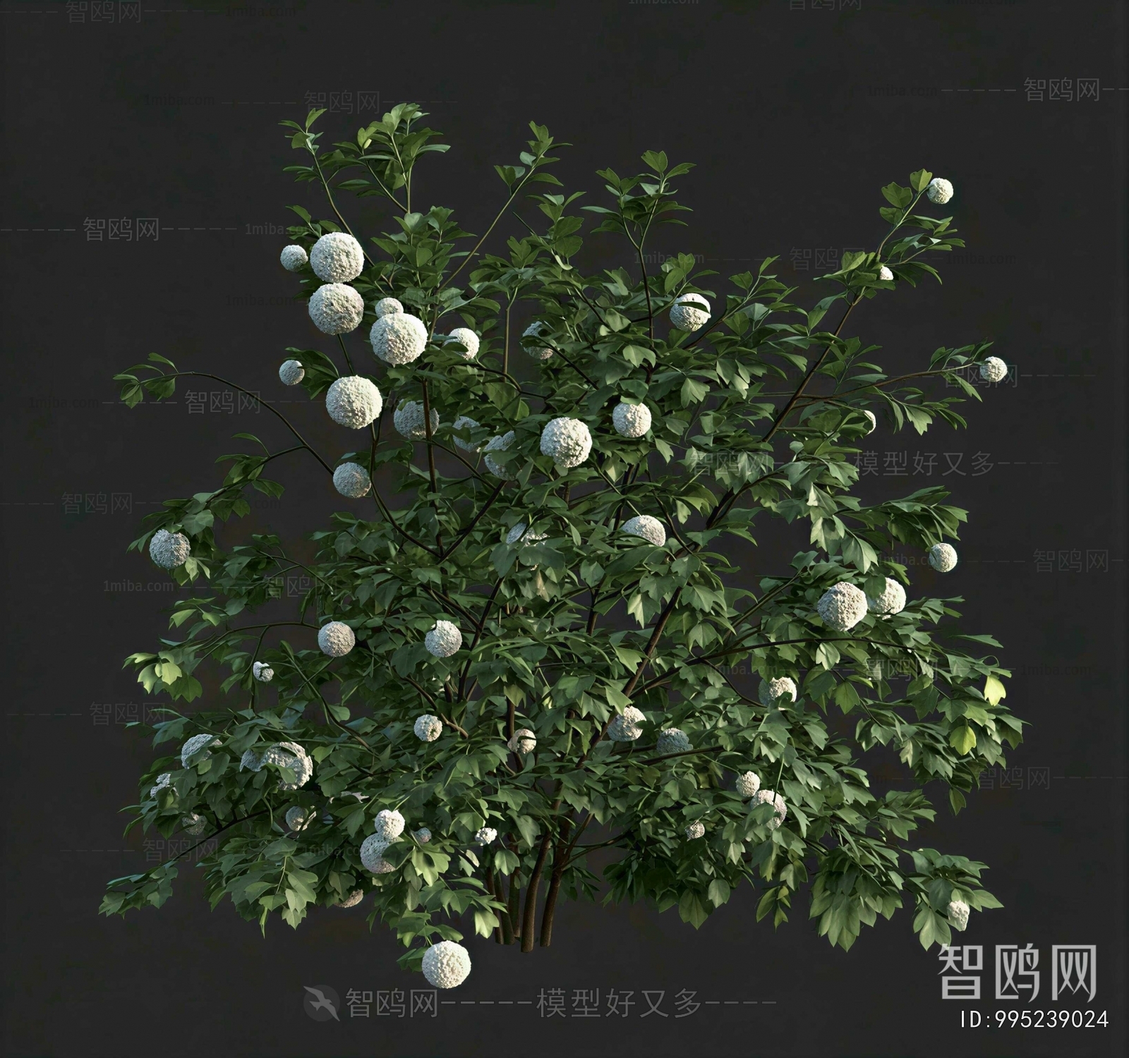 Modern Shrubbery