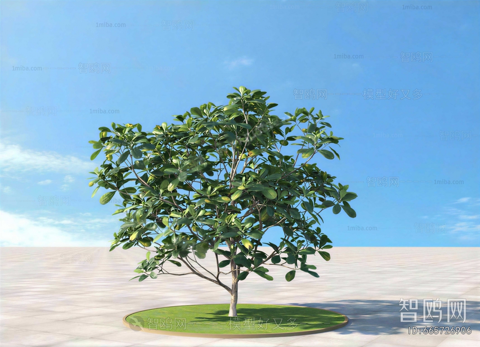 Modern Tree