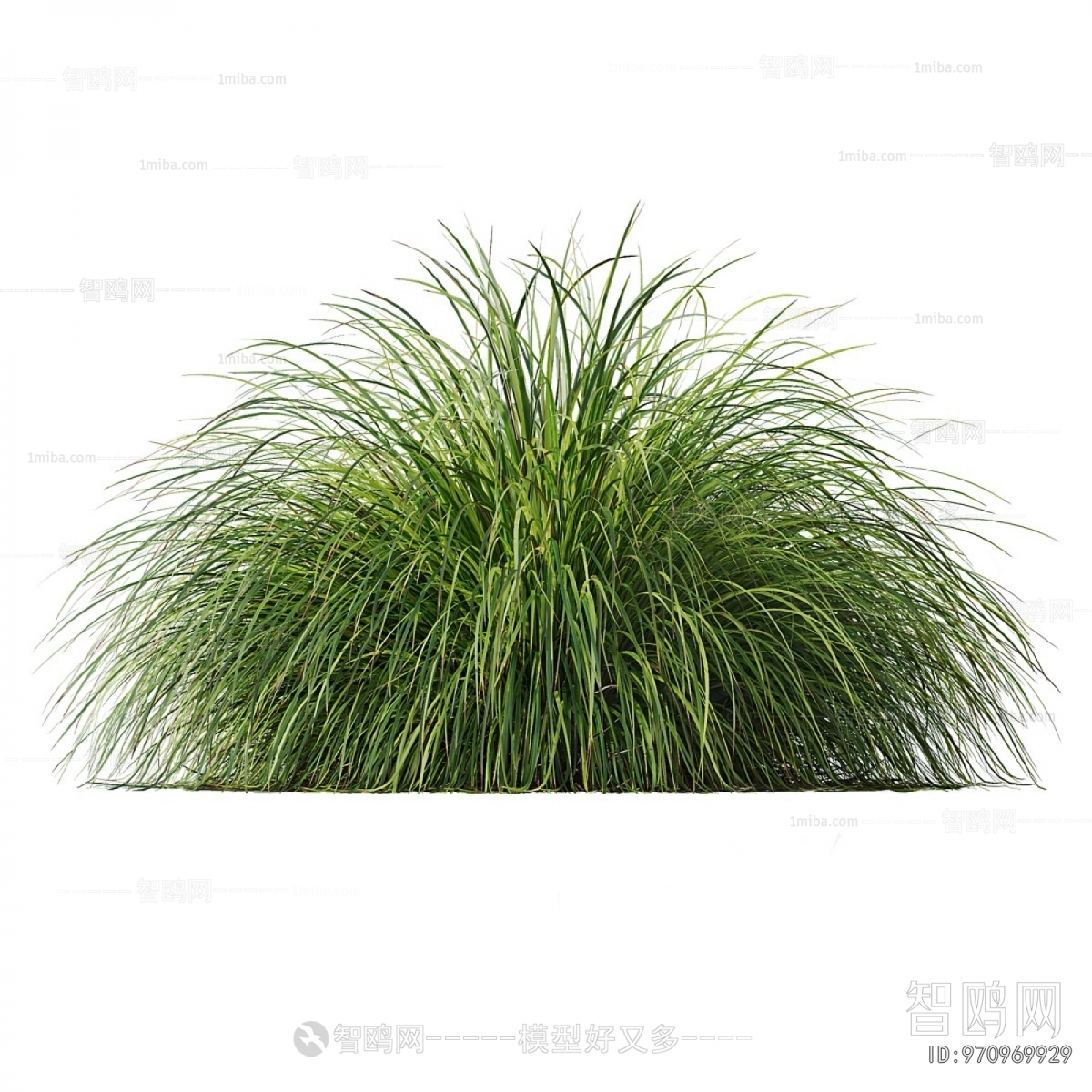 Modern Flowers And Grass