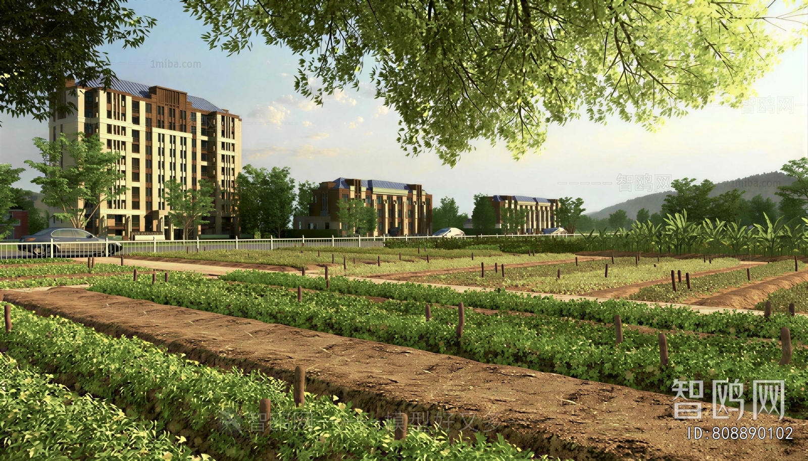 Modern Garden Landscape